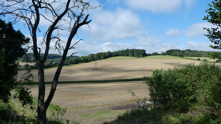 view